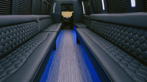 18 passenger party bus interior